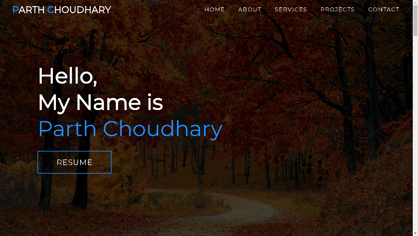 Parth Choudhary - Web Developer | Programmer